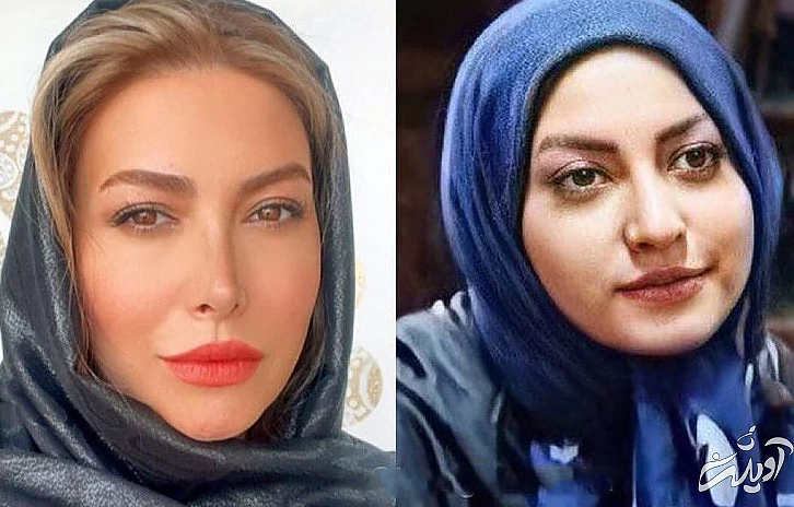 فریبا نادری